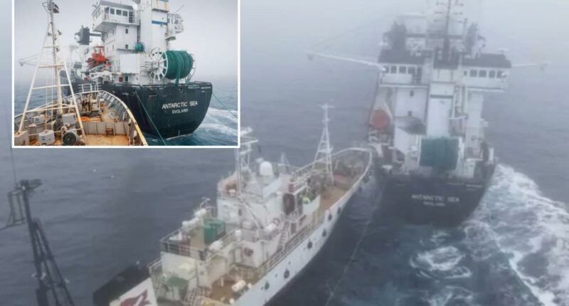 Activistâs group Paul Watson accused of âterrorist attackâ in collision with Antarctic krill trawler